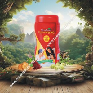 CHYAVANPRASH 500GM MULTANI