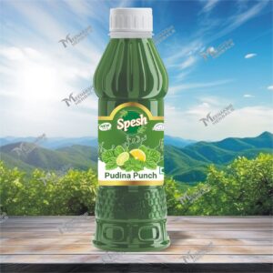 PUDINA PUNCH SYRUP 750ML SPESH