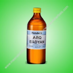 ARQ BADYAN 500ML HAMDARD