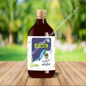 ARQ PUDINA 500ML SHEEZA