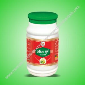 AMLA CHURNA 100GM FAME