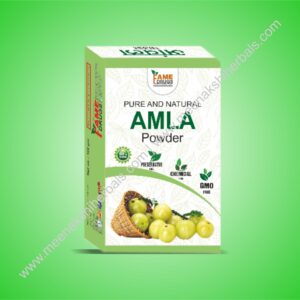 AMLA POWDER 100GM