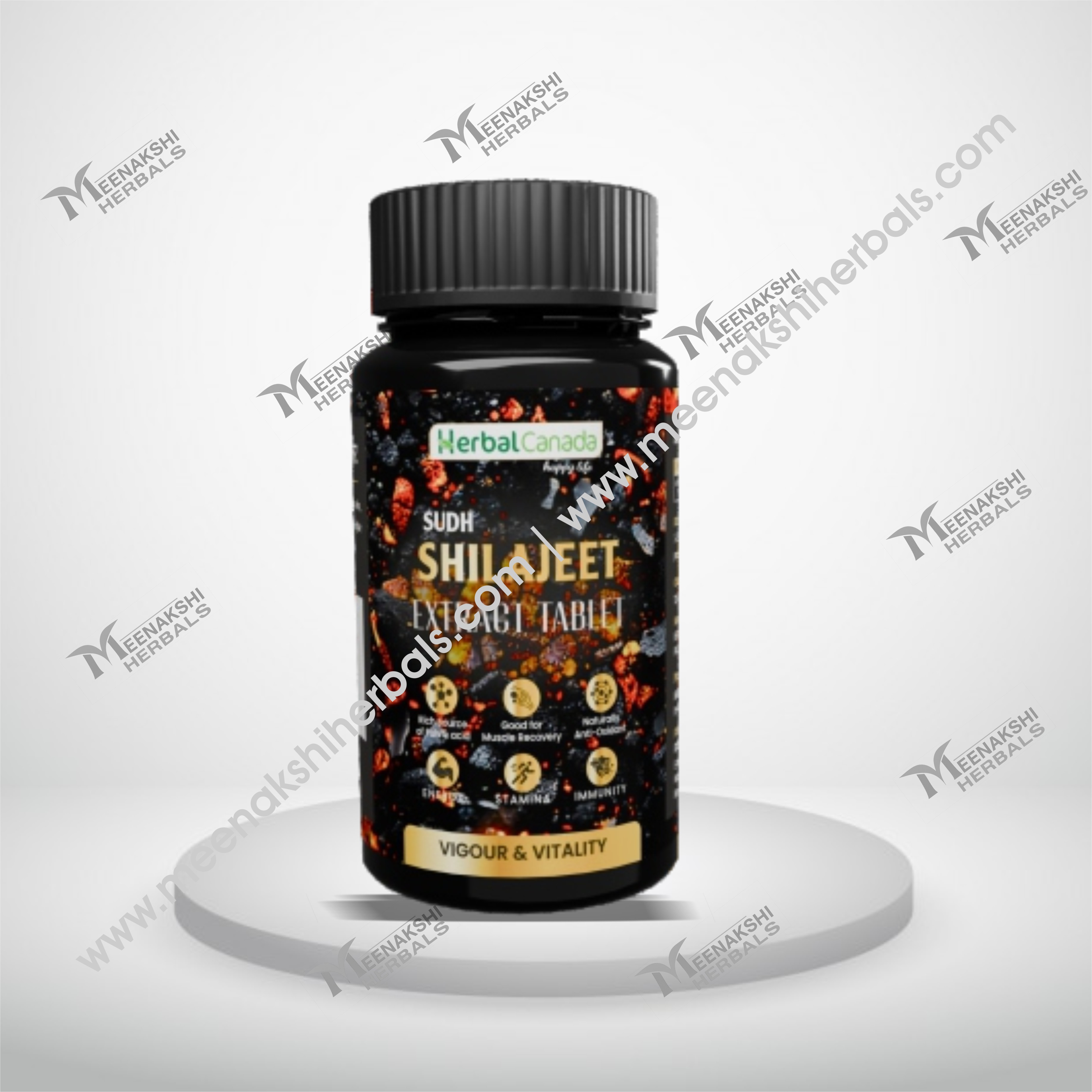 SHILAJEET EXTRACT 120TABLETS HERBAL CANADA
