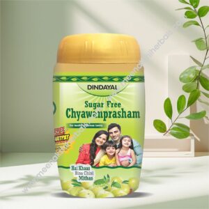CHYAWANPRASHAM SUGAR FREE 1KG DINDAYAL