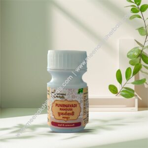 PUNARNAVADI MANDOOR 10GM DINDAYAL