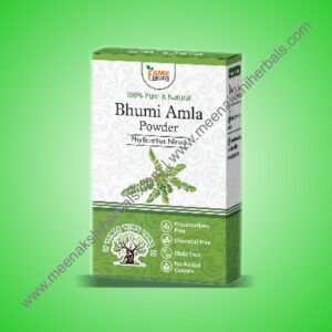 BHUMI AMLA POWDER 100GM FAME