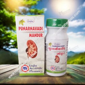 PUNARNAVADI MANDOOR 40TAB. UNJHA